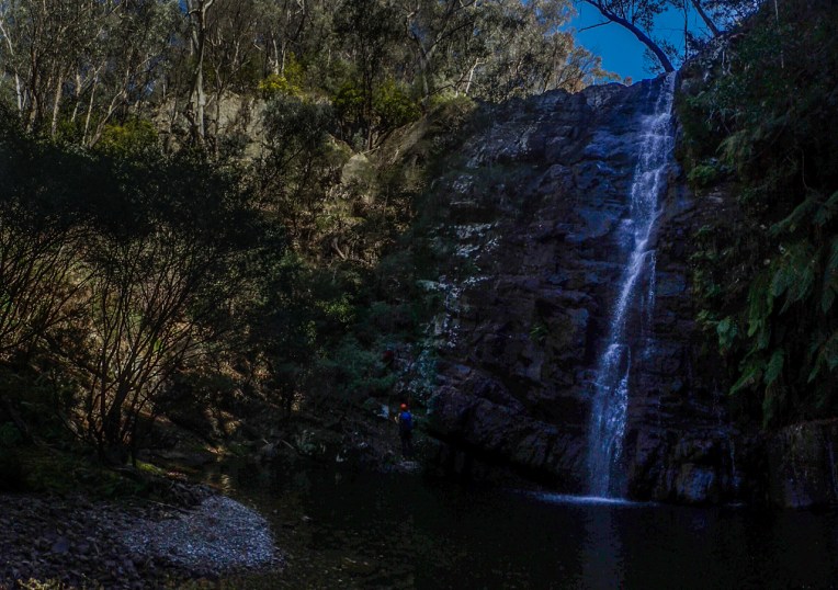 Dione Dell-9020016.jpg