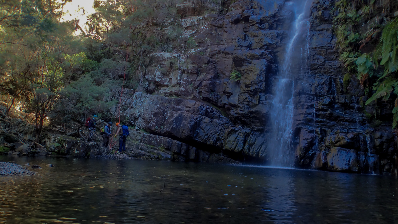 Dione Dell-9020021.jpg