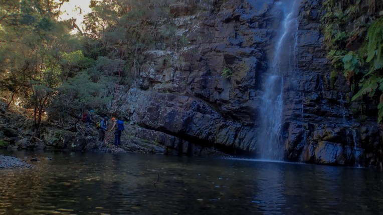 Dione Dell-9020021.jpg