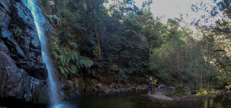 Dione Dell-9020030.jpg