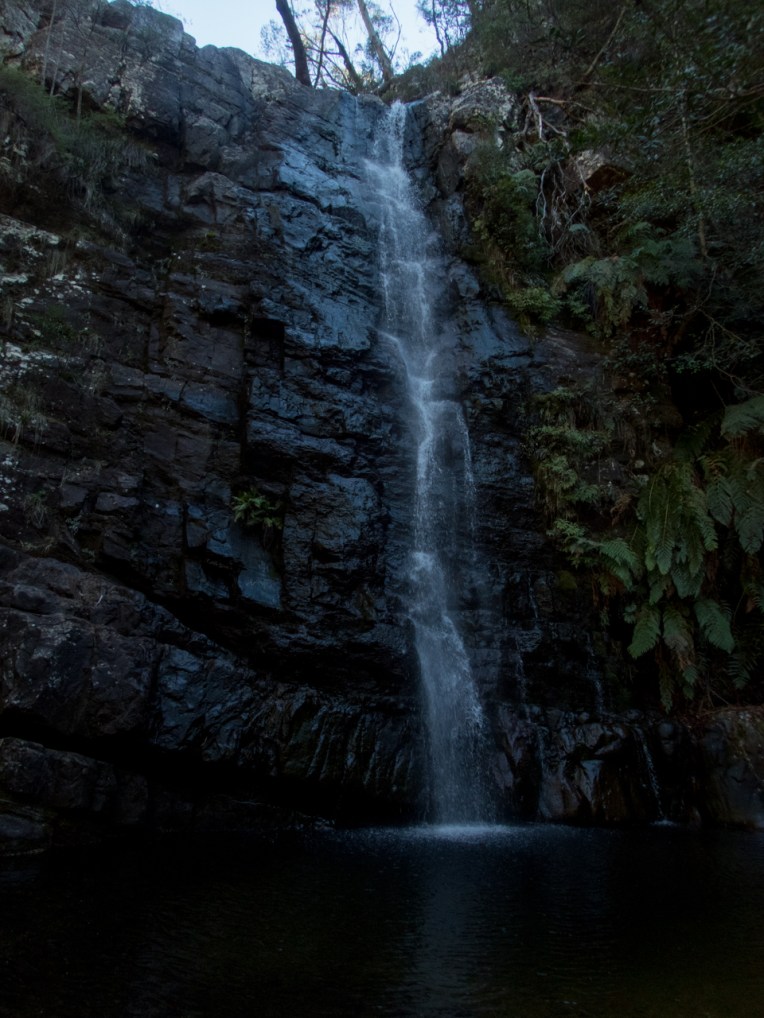 Dione Dell-9020041.jpg