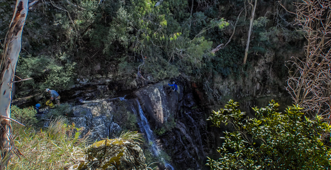 Dione Dell-9020050.jpg