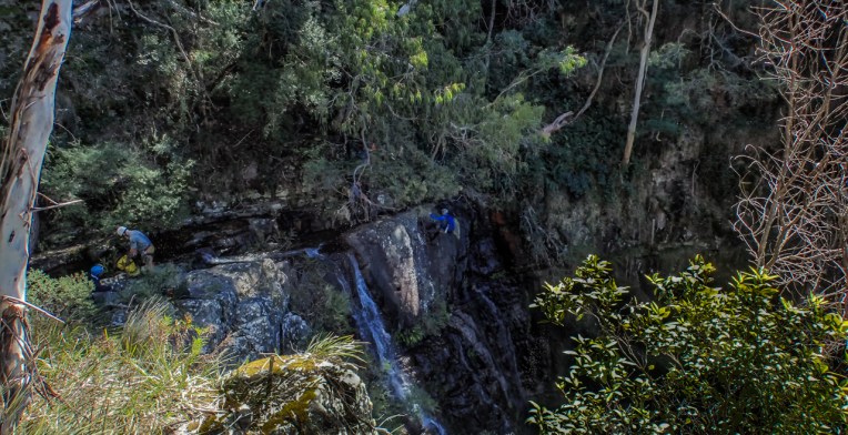 Dione Dell-9020050.jpg