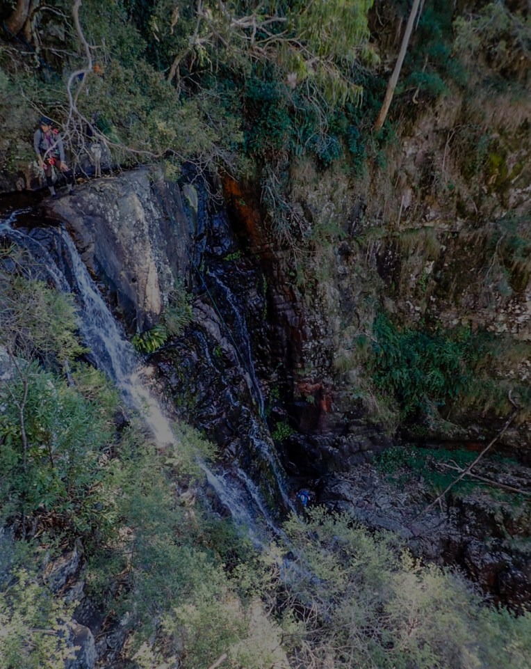 Dione Dell-9020055.jpg