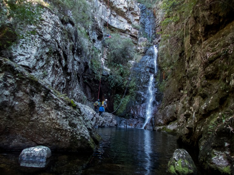 Dione Dell-9020064.jpg