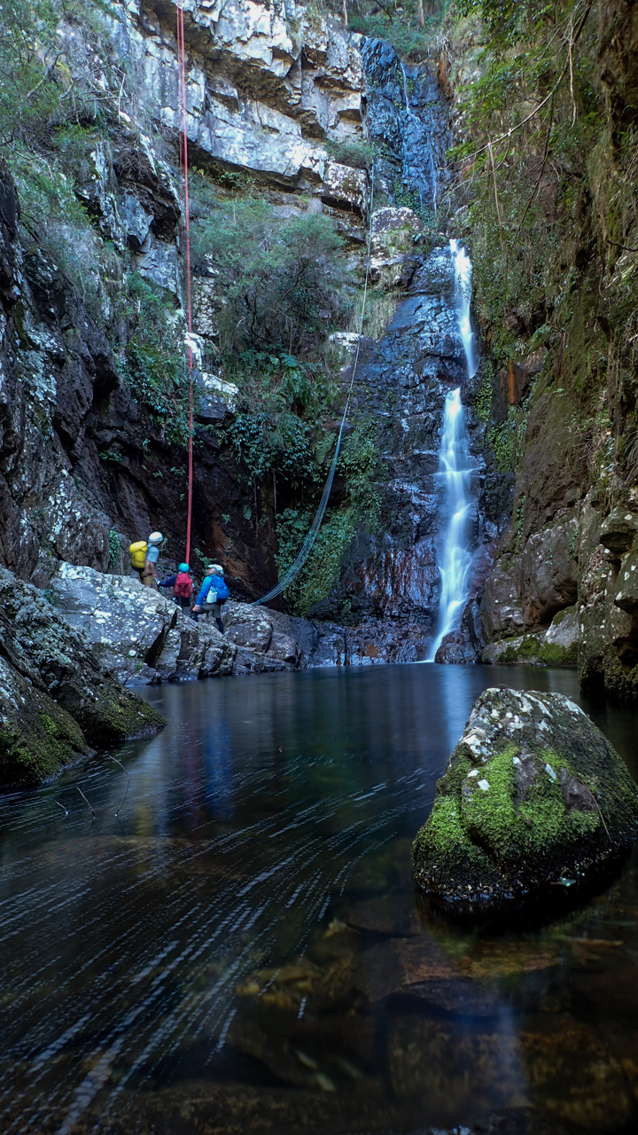 Dione Dell-9020070.jpg