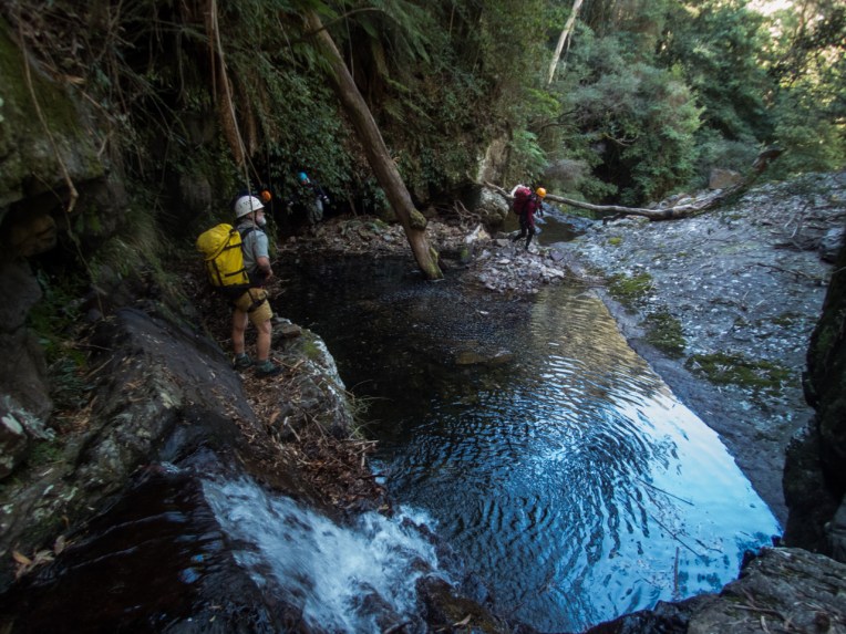 Dione Dell-9020088.jpg