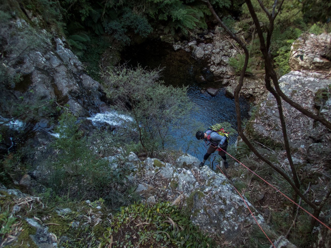 Dione Dell-9020098.jpg