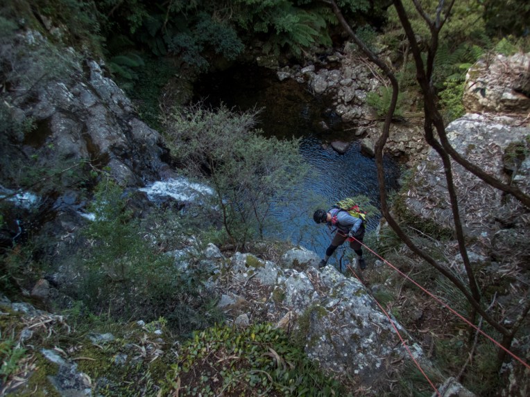 Dione Dell-9020098.jpg