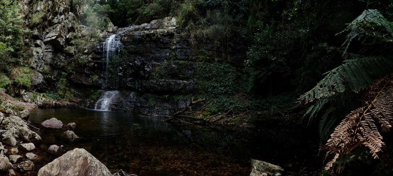 Dione Dell-9020106.jpg