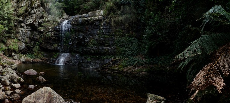 Dione Dell-9020106.jpg