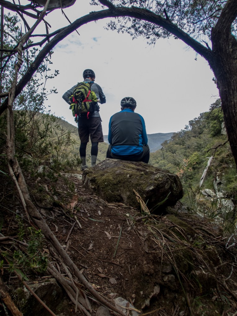 Dione Dell-9020112.jpg