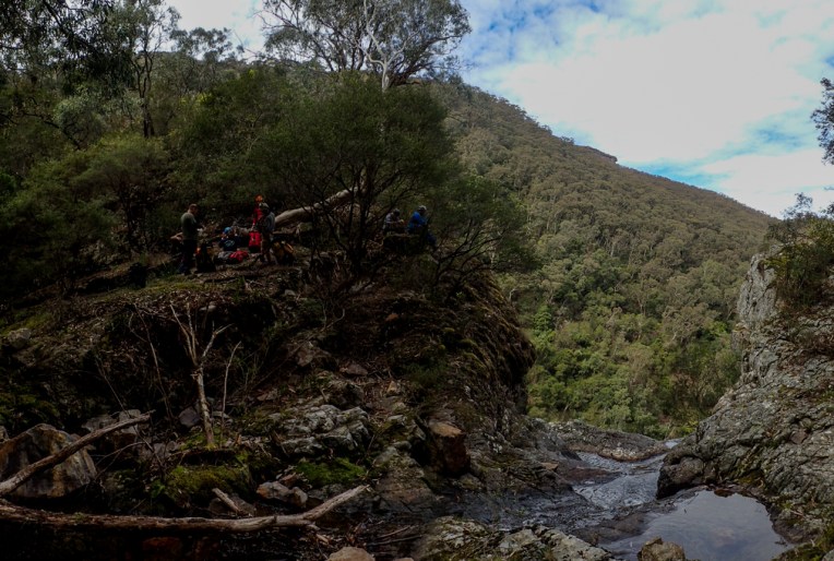 Dione Dell-9020113.jpg