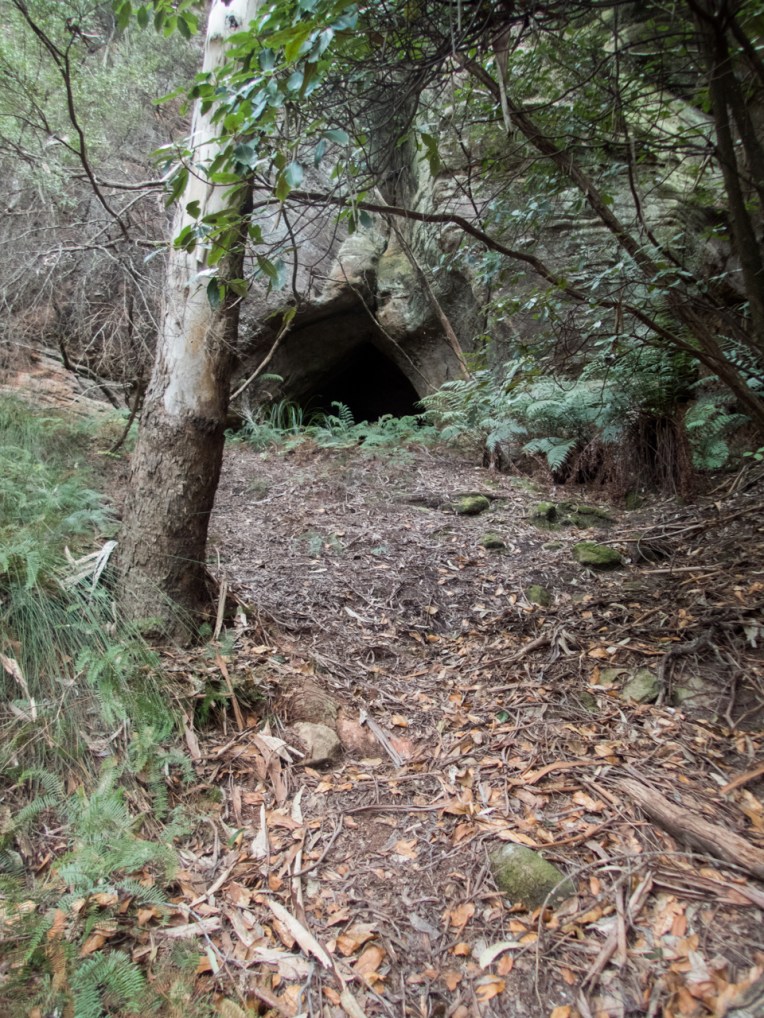 Dione Dell-9020122.jpg