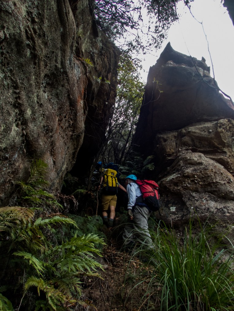 Dione Dell-9020123.jpg