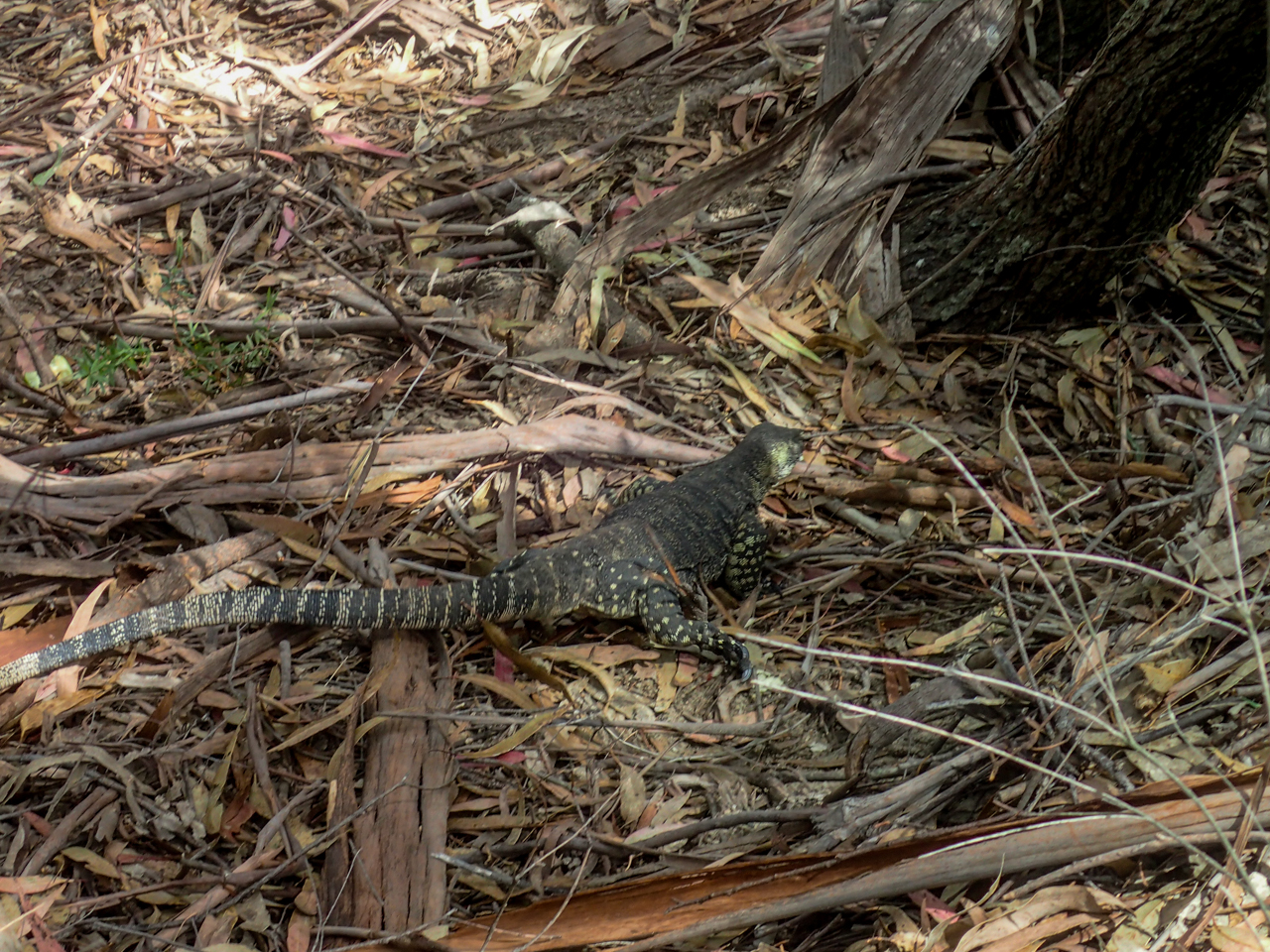 pagoda canyons-37.jpg