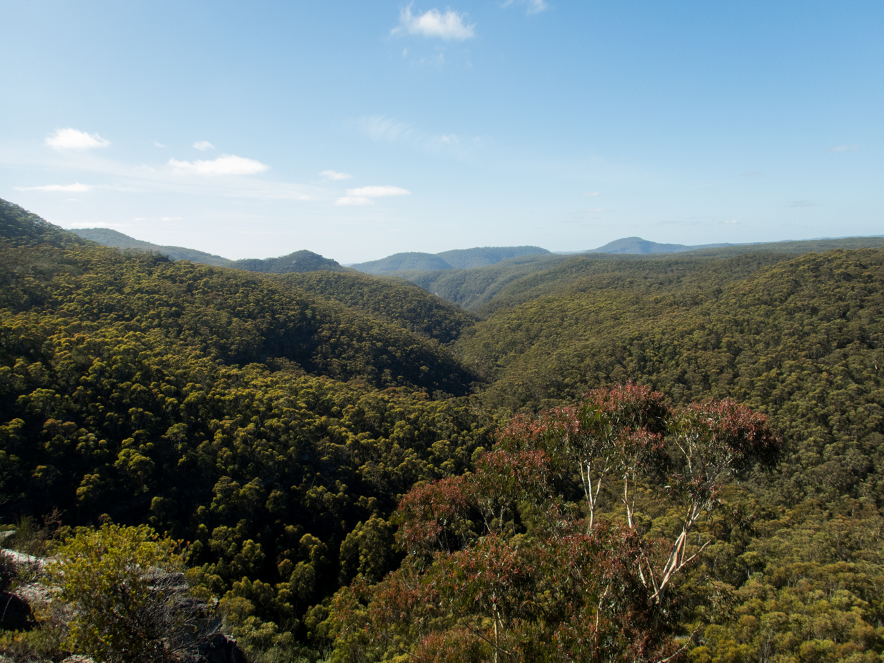 a ranon (1 of 139).jpg