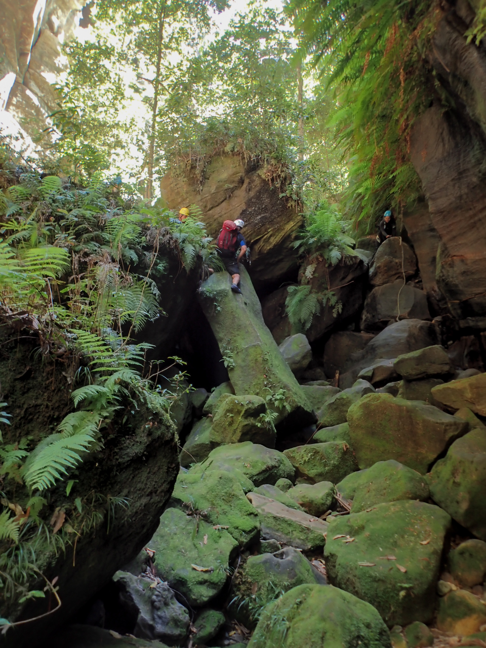 a ranon (106 of 139).jpg