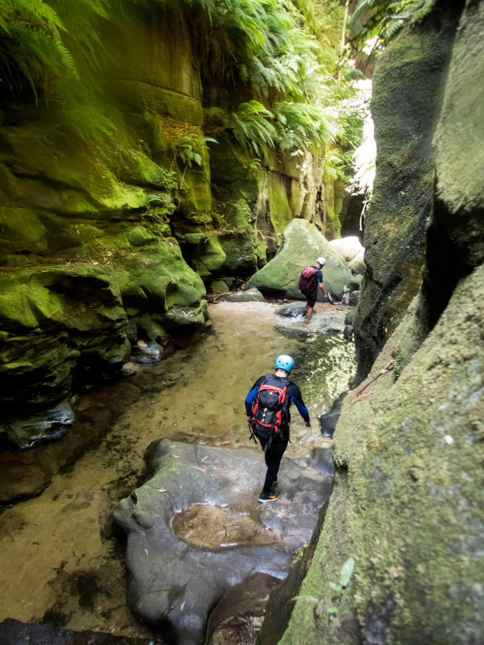 a ranon (108 of 139).jpg