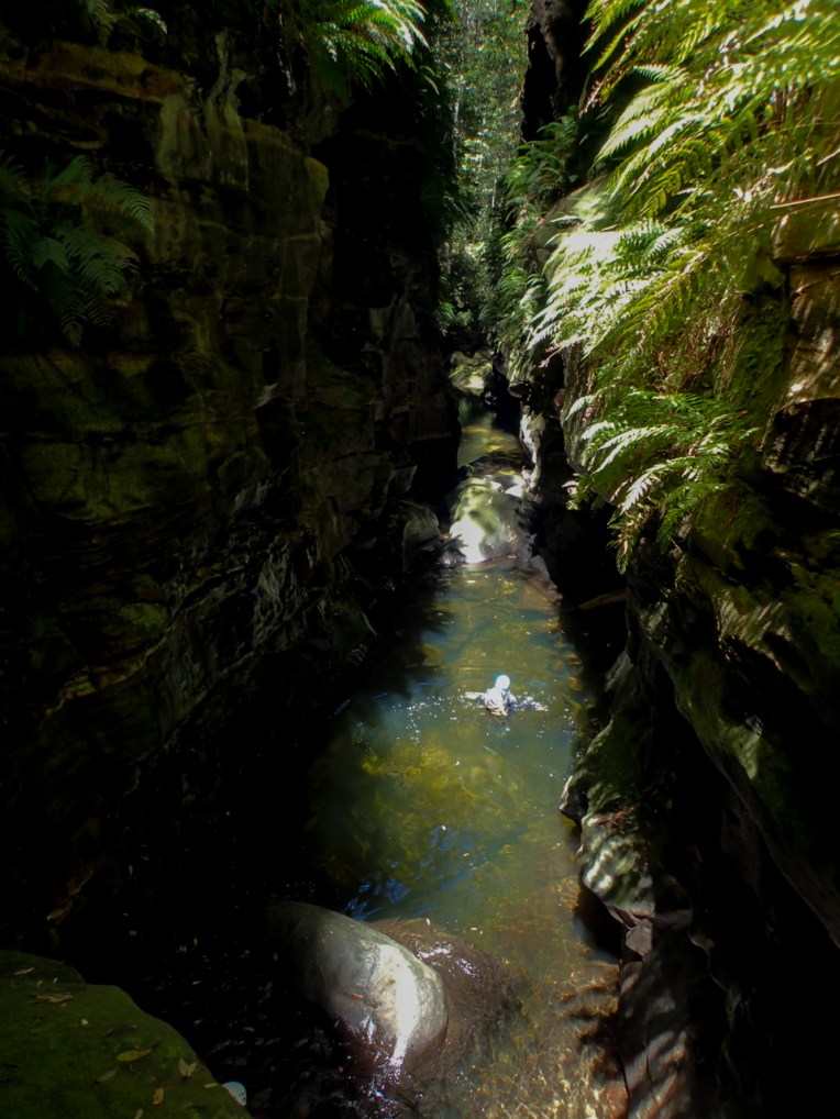 a ranon (121 of 139).jpg