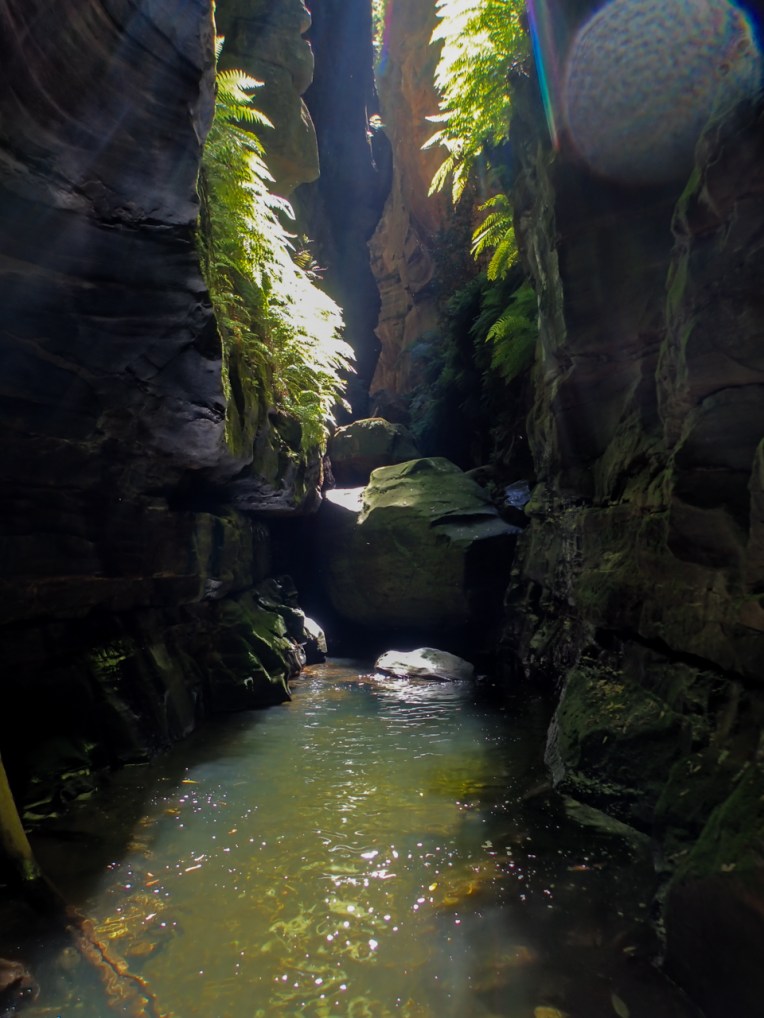 a ranon (124 of 139).jpg