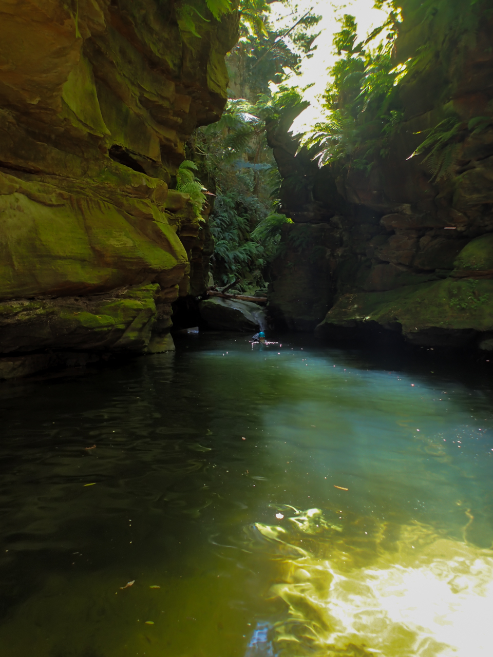 a ranon (127 of 139).jpg