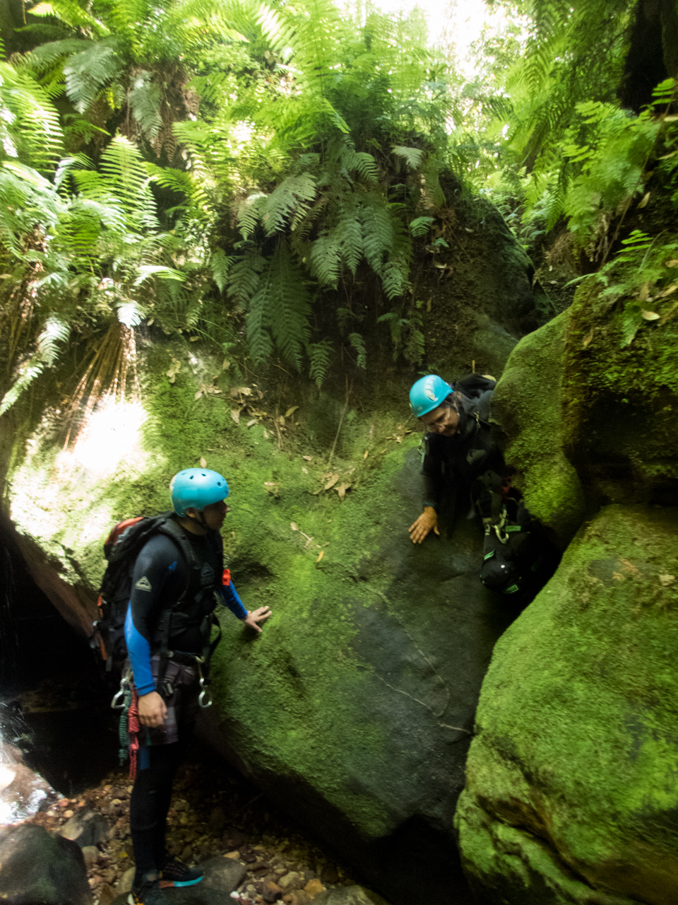 a ranon (20 of 139).jpg