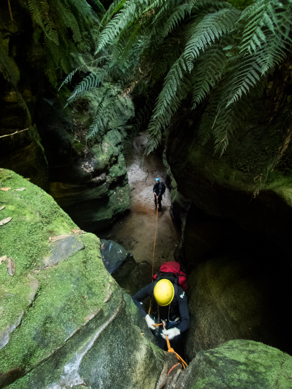 a ranon (24 of 139).jpg