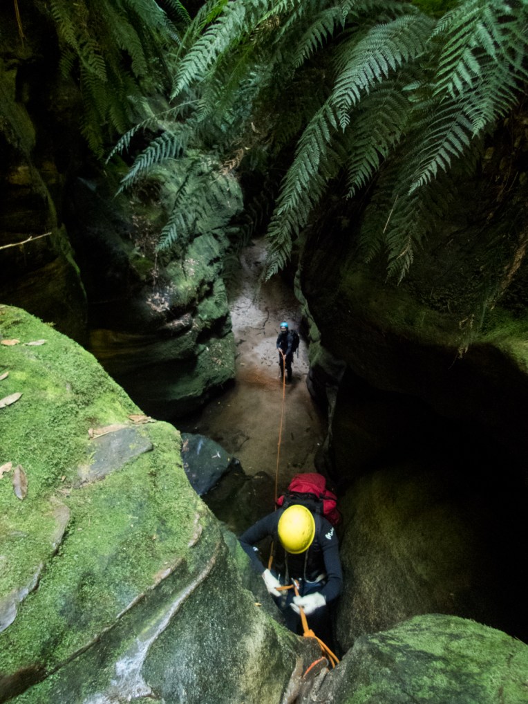 a ranon (24 of 139).jpg