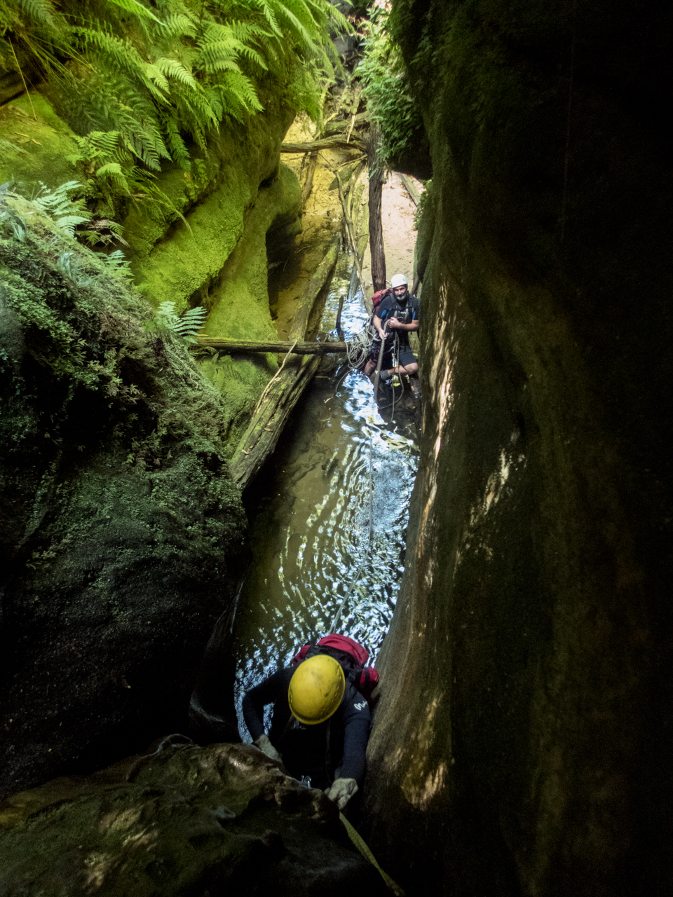 a ranon (32 of 139).jpg