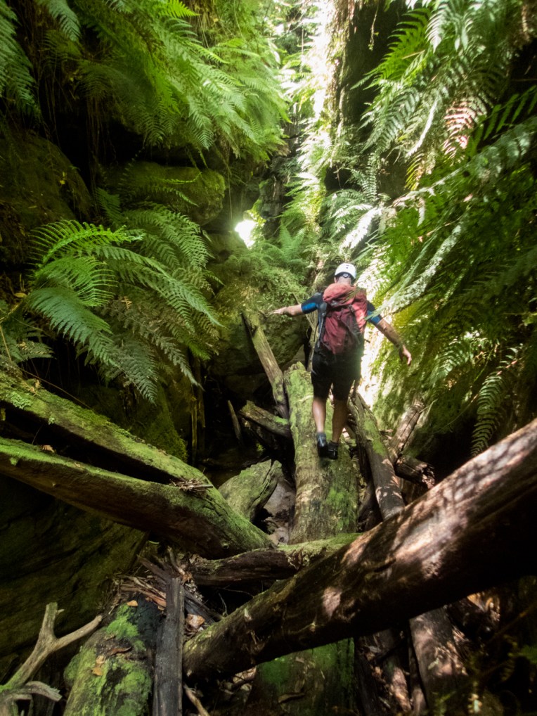 a ranon (35 of 139).jpg