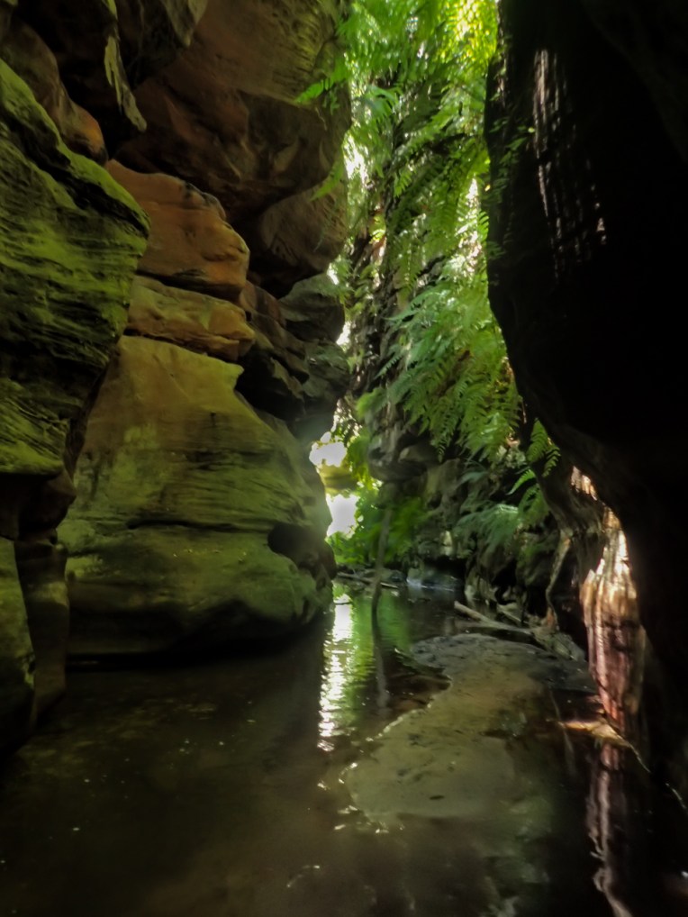 a ranon (36 of 139).jpg