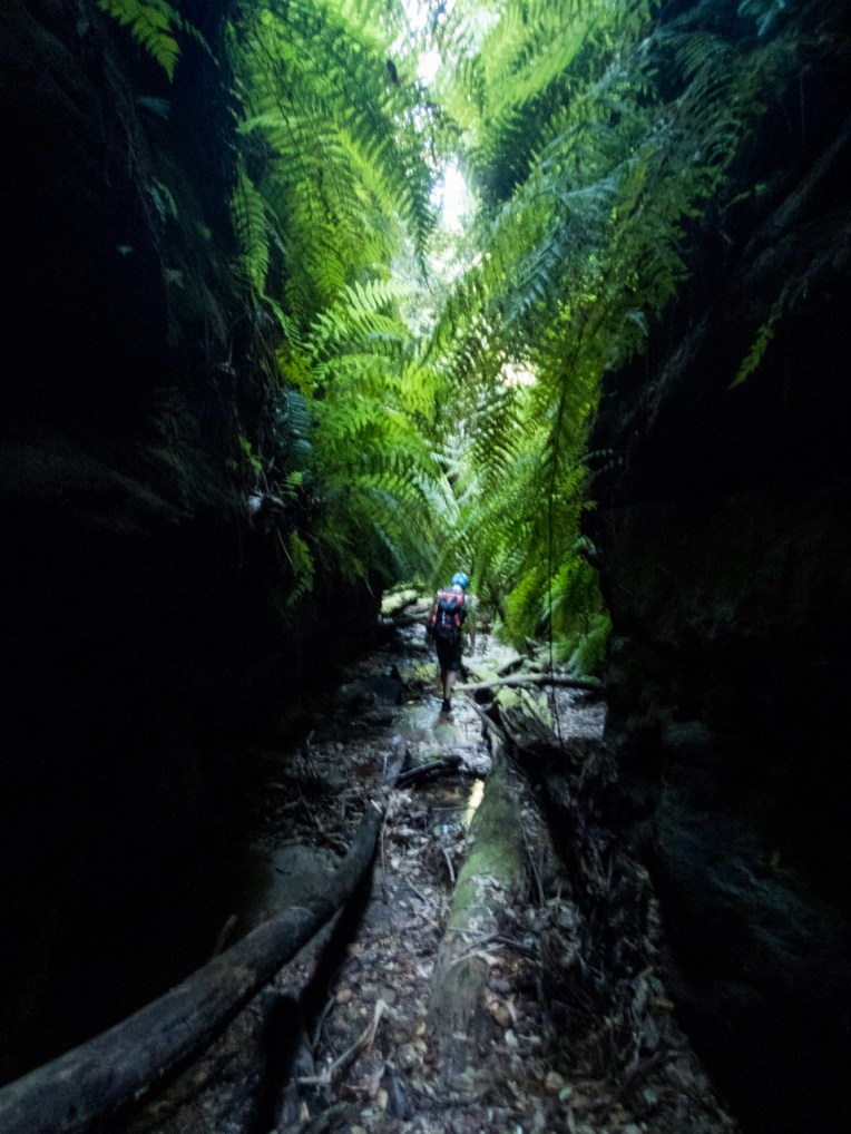 a ranon (5 of 139).jpg