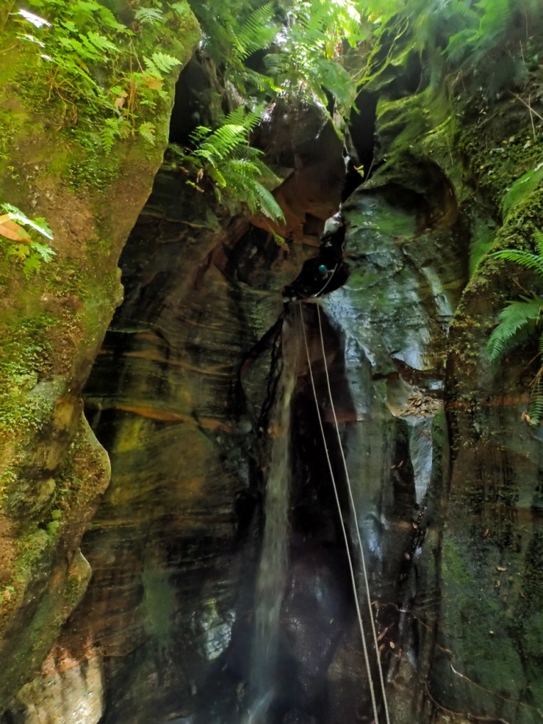 a ranon (56 of 139).jpg