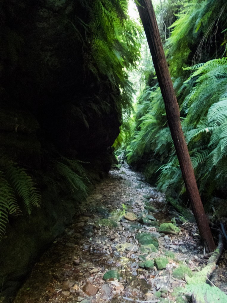 a ranon (6 of 139).jpg