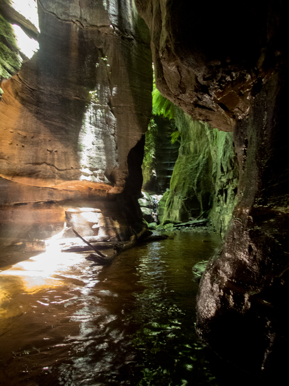 a ranon (60 of 139).jpg