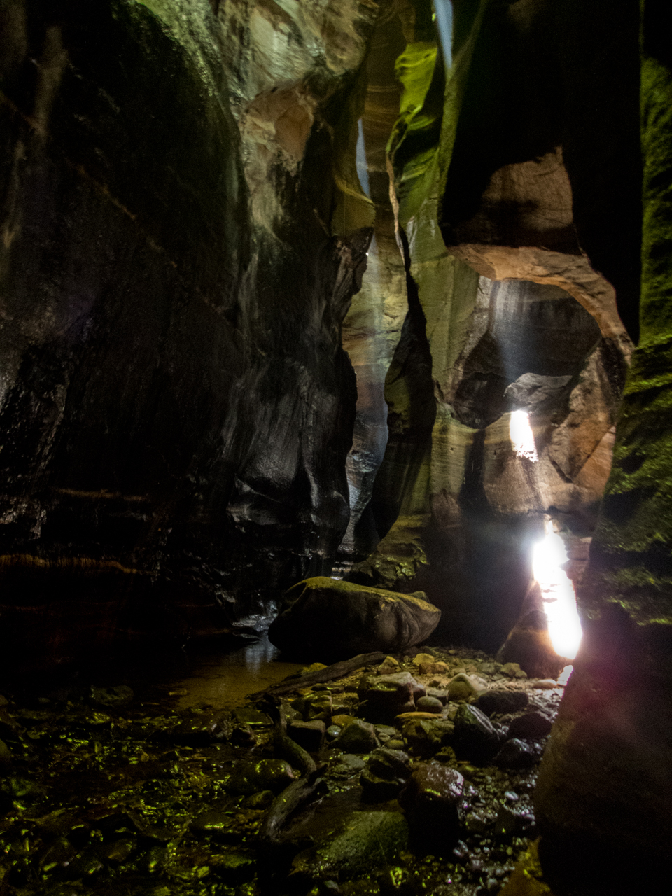 a ranon (61 of 139).jpg