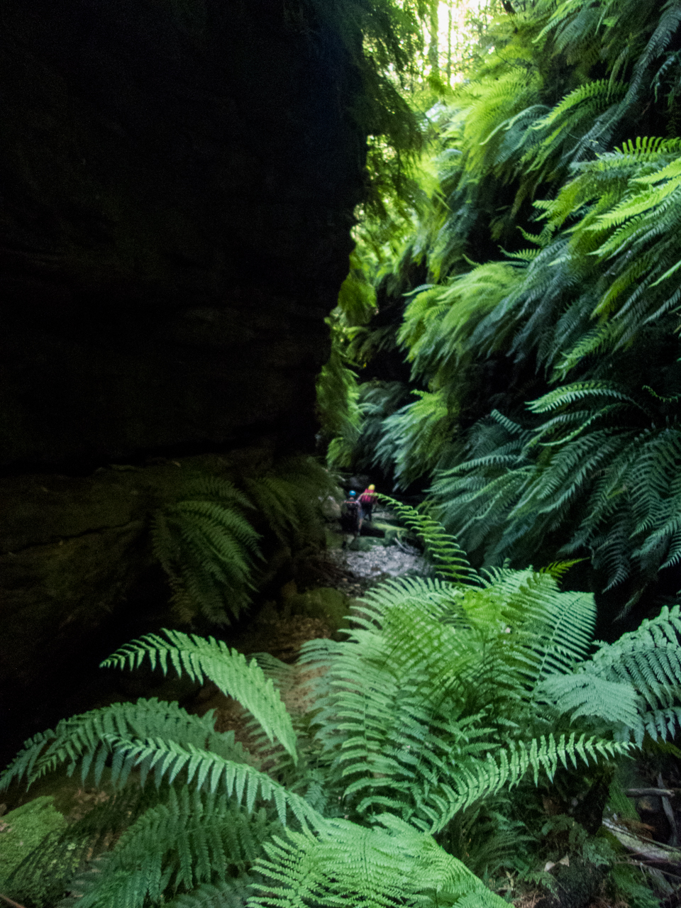 a ranon (7 of 139).jpg