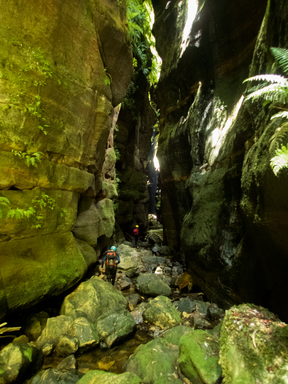 a ranon (81 of 139).jpg