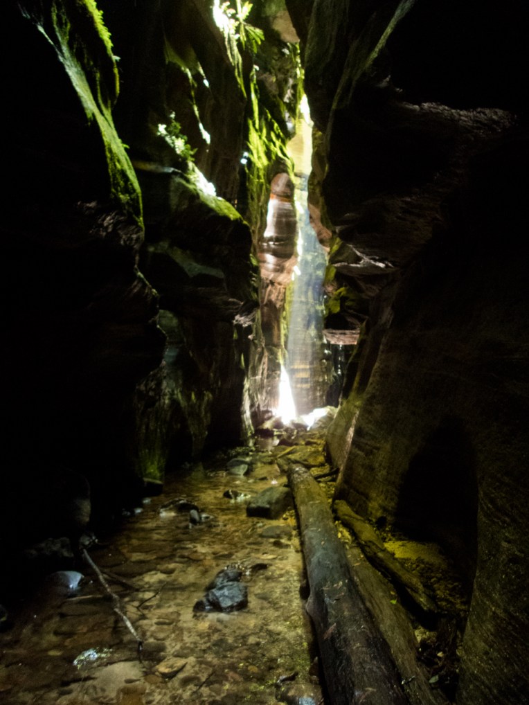 a ranon (86 of 139).jpg