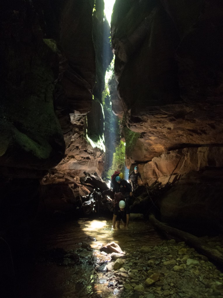 a ranon (92 of 139).jpg