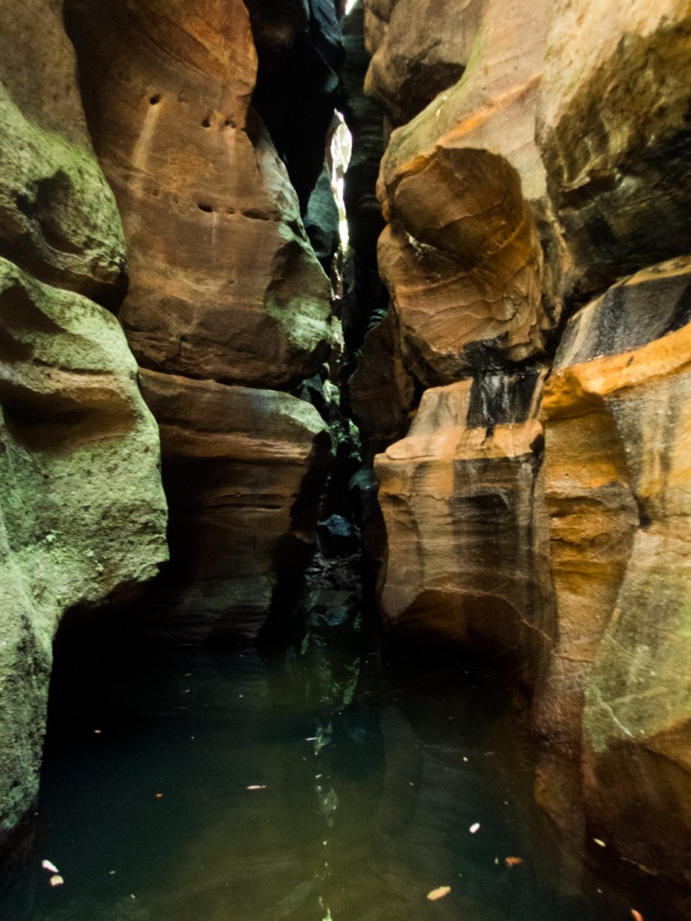 a ranon (94 of 139).jpg