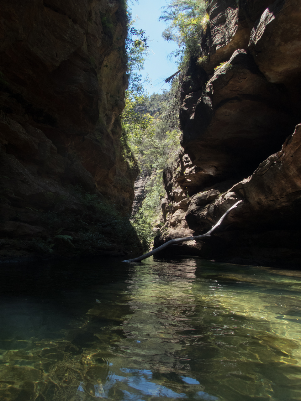 a wollangambe 2-21.jpg