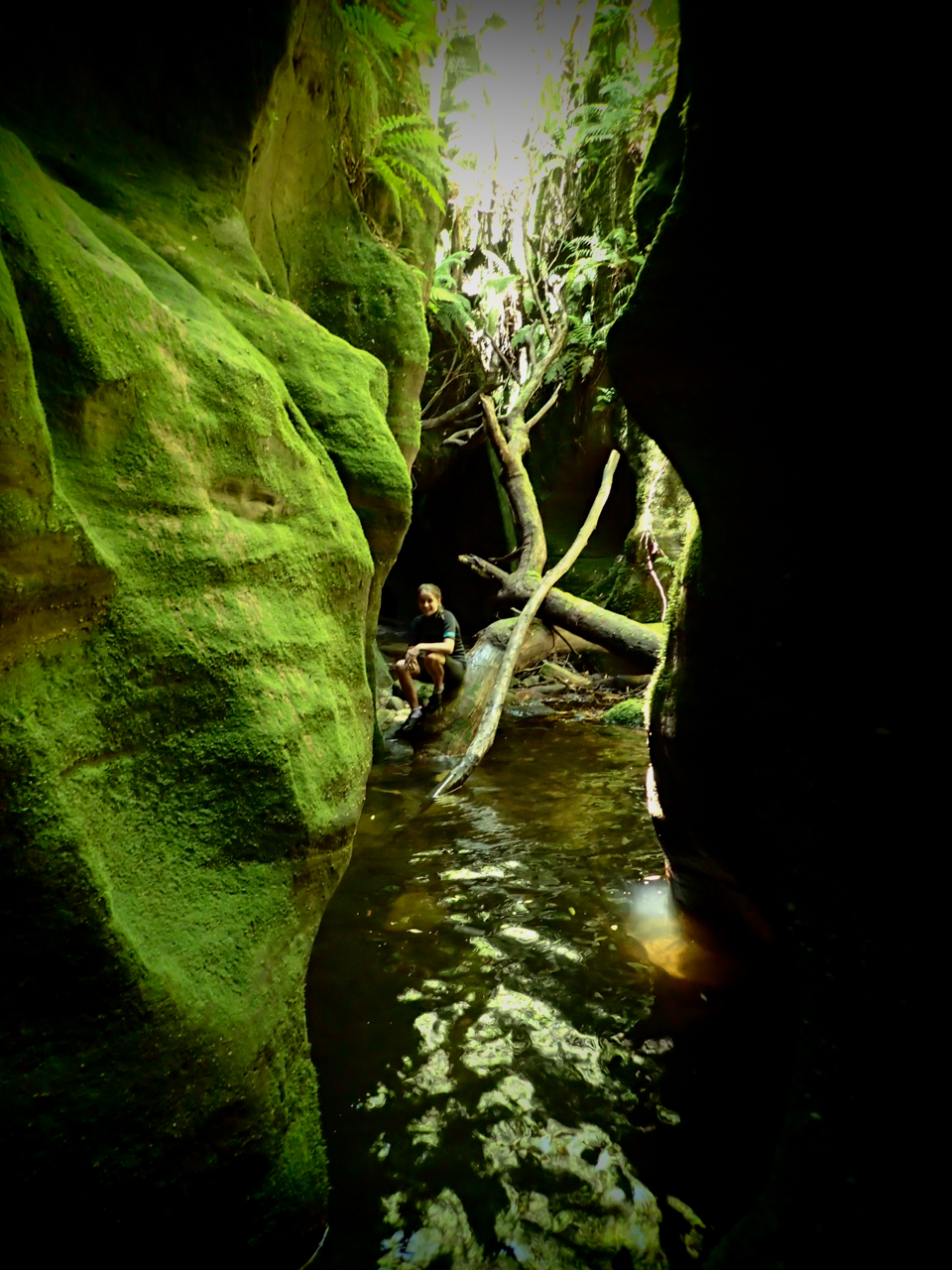 a wollangambe 2-40.jpg