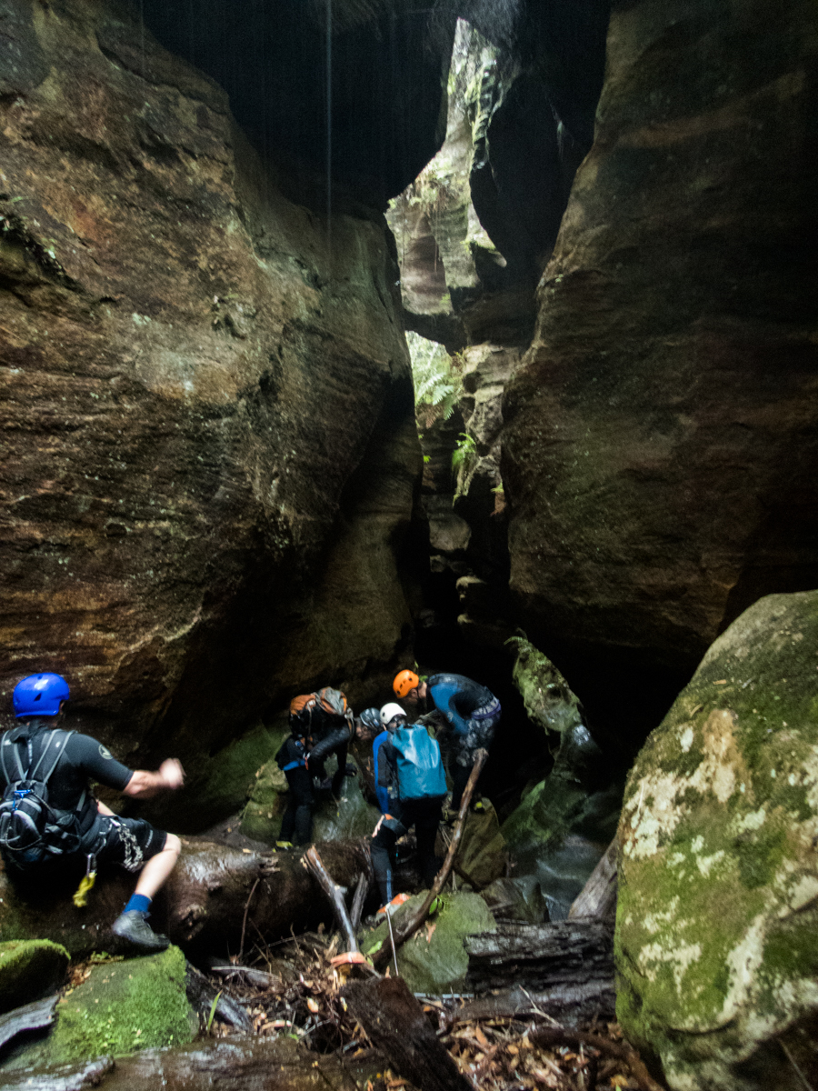 a geronimo horseshoe-17.jpg