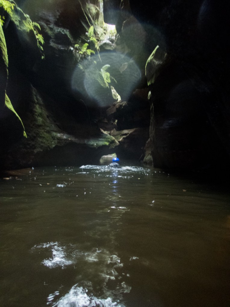 a geronimo horseshoe-21.jpg