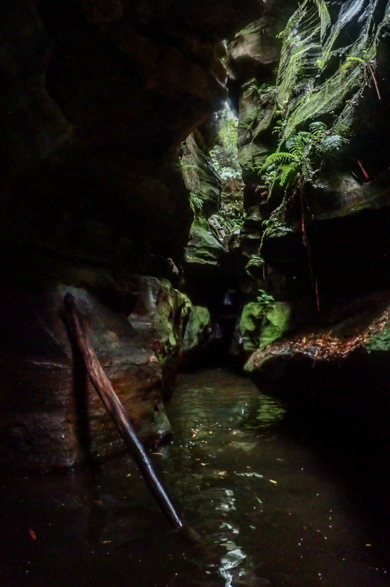 a geronimo horseshoe-22.jpg