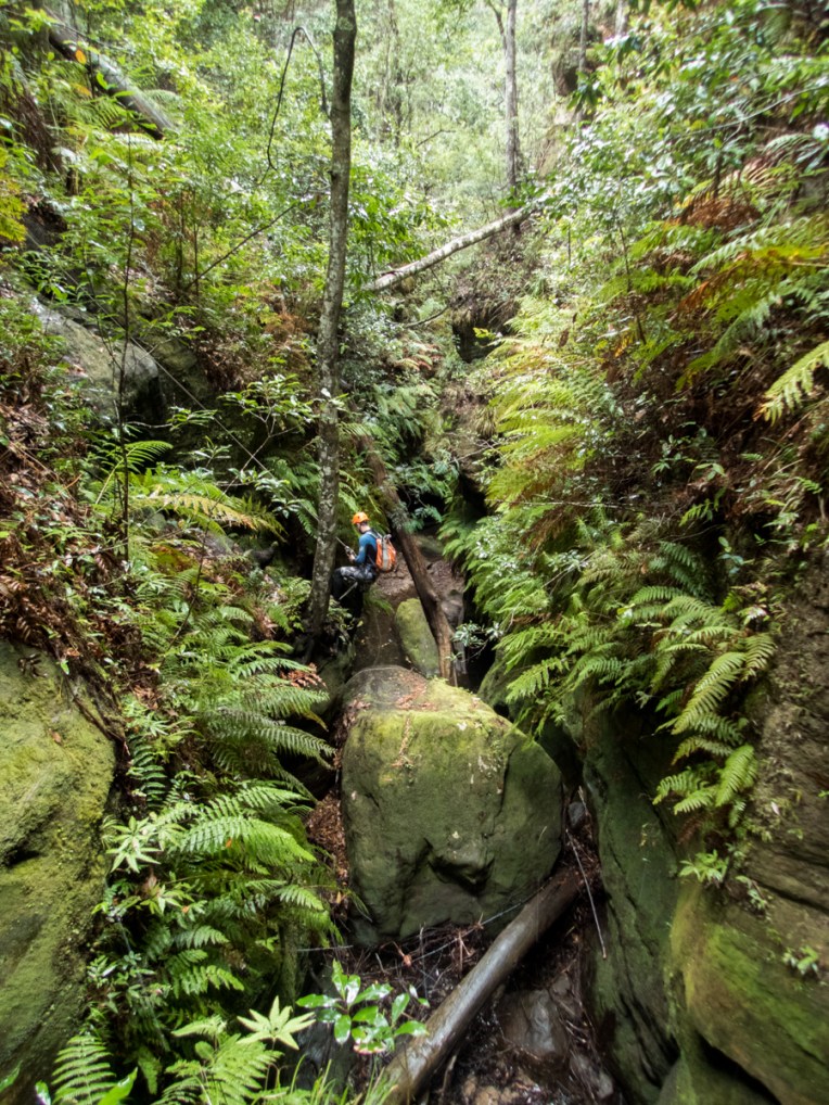 a geronimo horseshoe-31.jpg