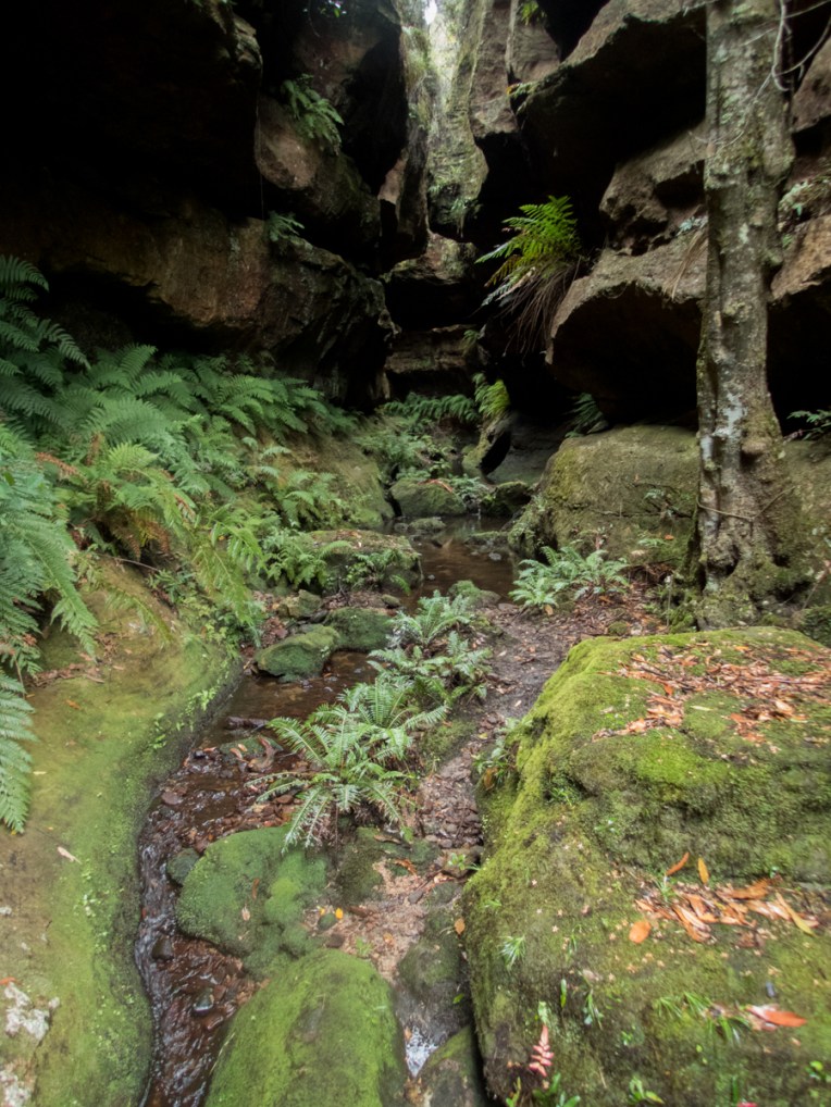 a geronimo horseshoe-33.jpg