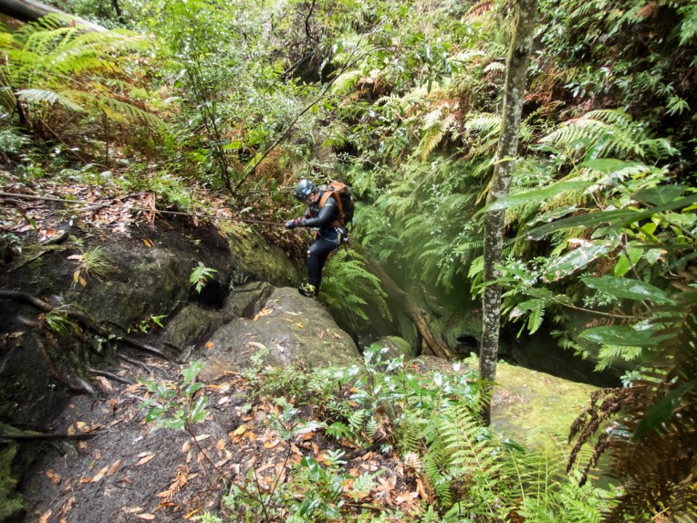 a geronimo horseshoe-34.jpg